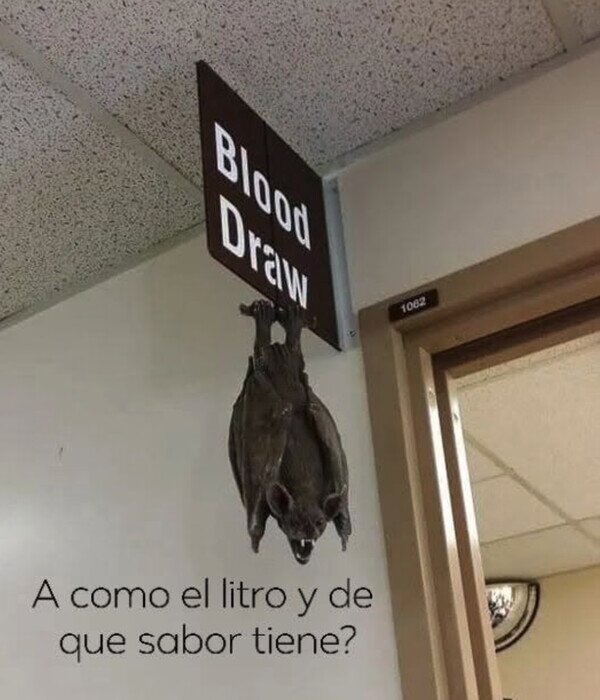murci&eacute;lago,banco,sangre