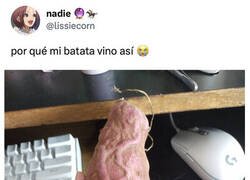Enlace a Hay batatas y batatas...