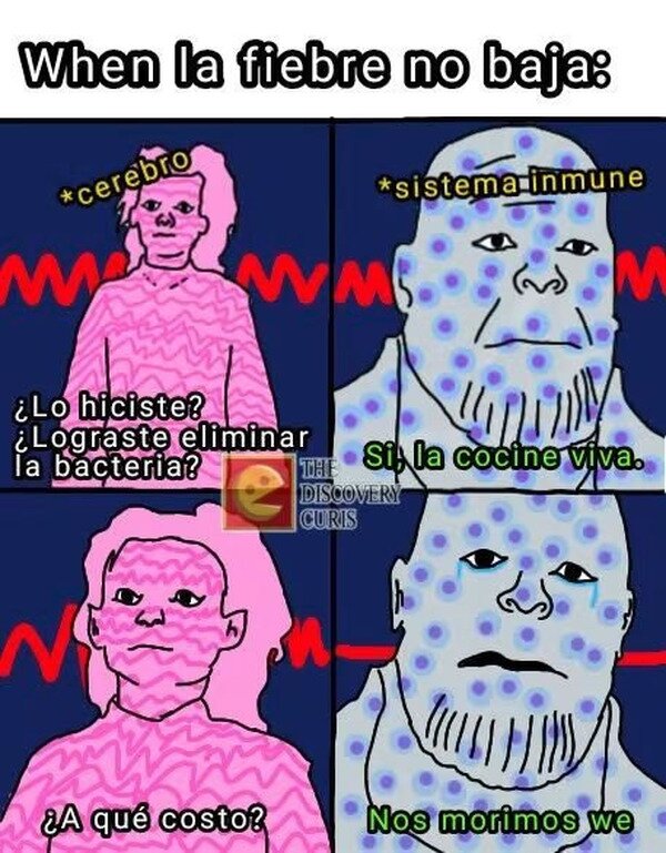 fiebre,bacter&iacute;a,cuerpo