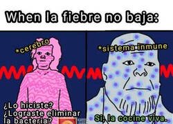 Enlace a Mi sistema inmune me va a matar