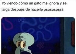 Enlace a Me fastidió el día