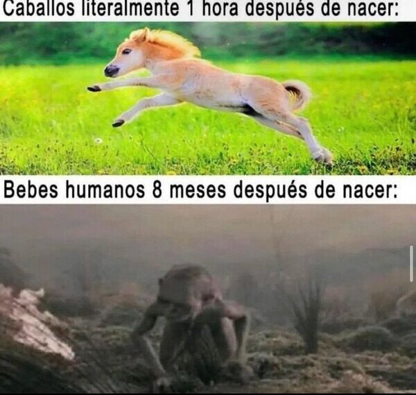 Meme_otros - A los humanos nos cuesta