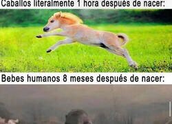 Enlace a A los humanos nos cuesta