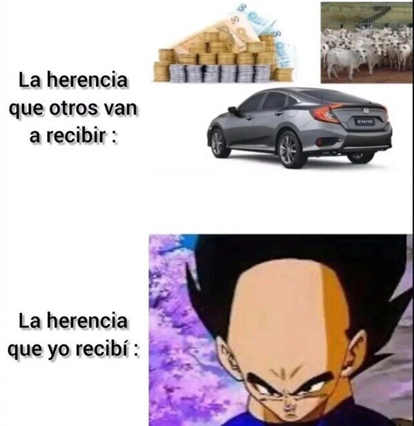 Meme_otros - Lo que heredé de mi padre