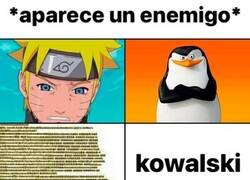 Enlace a Kowalski opciones