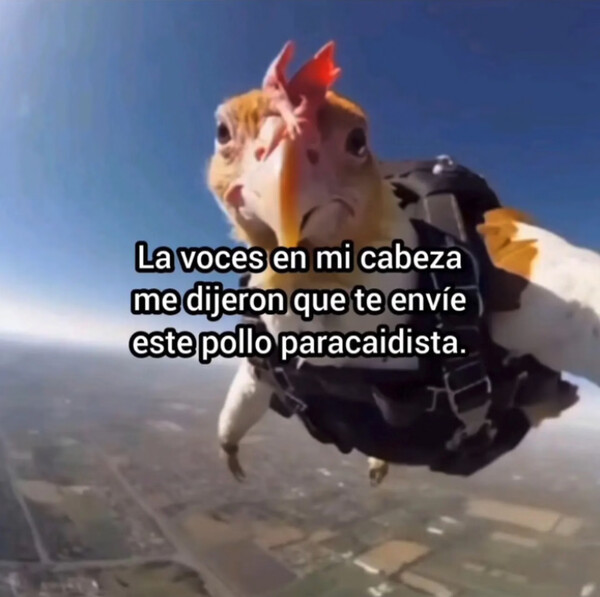 Otros - Para enviar a una persona más sana mentalmente