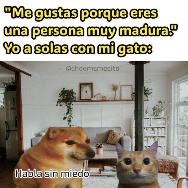 Meme_otros - Si tienes algo que decir, es el momento