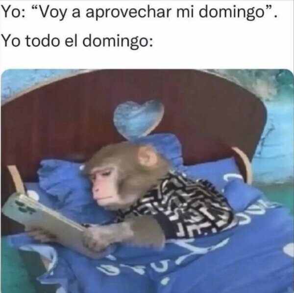 Meme_otros - Resumen de mi domingo
