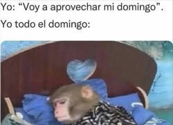 Enlace a Resumen de mi domingo