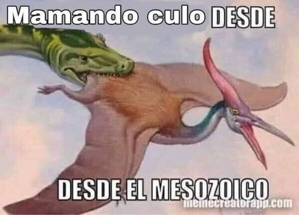 comer,culo,mesozoico