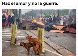 Enlace a Deberíamos aprender más de los perros