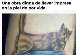 Enlace a Maravilloso diseño