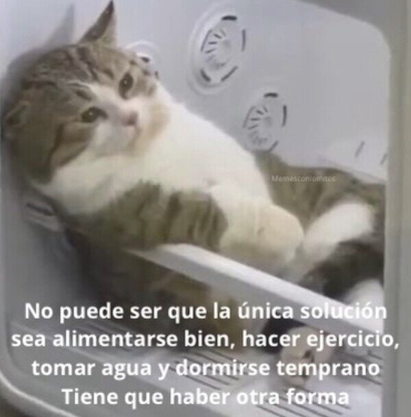 adelgazar,ejercicio,comer