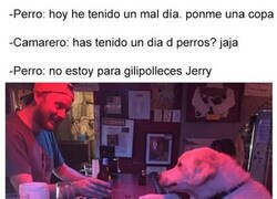 Enlace a Este perro necesita una copa
