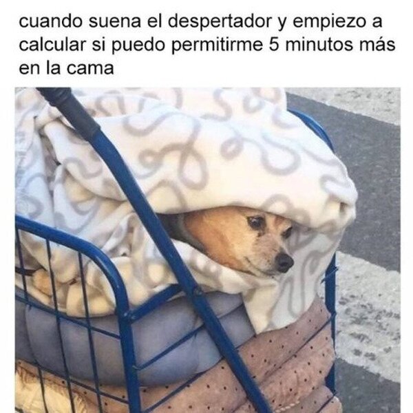 Meme_otros - Necesito un tiempo extra