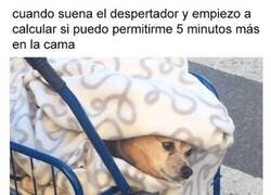 Enlace a Necesito un tiempo extra