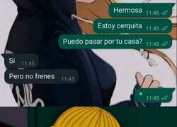 Enlace a Puedes pasar