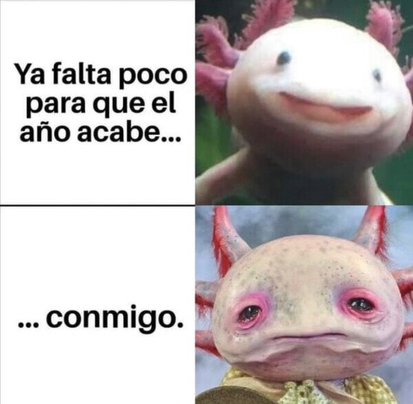 Meme_otros - Queda realmente poco...
