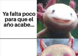 Enlace a Queda realmente poco...