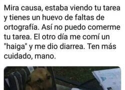 Enlace a Cuando tus deberes son incomibles