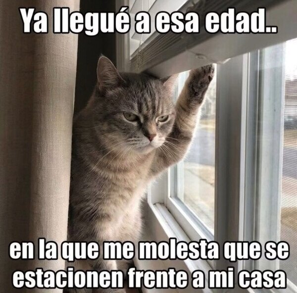 Meme_otros - Ahí lo podría haber dejado yo...