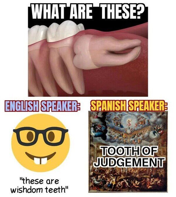 Meme_otros - La apocalíptica muela del juicio