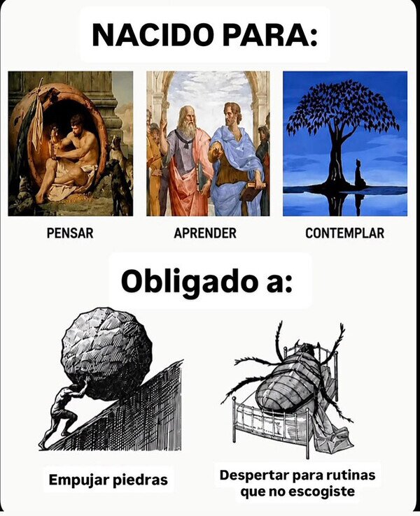Meme_otros - Es lo que hay