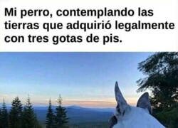 Enlace a Marcando territorio
