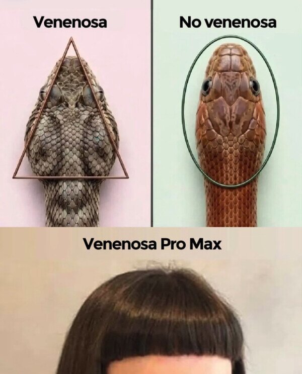 serpiente,t&oacute;xica,chica,flequillo,venenosa