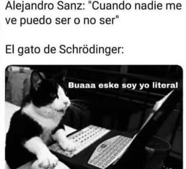 Alejandro Sanz,ver,ser,gato,Schrodinger