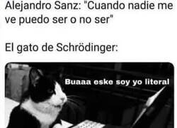 Enlace a El Alejandro Sanz de Schrodinger