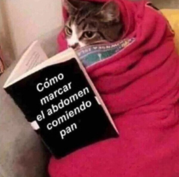 Meme_otros - Necesito saber cómo