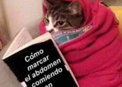 Enlace a Necesito saber cómo