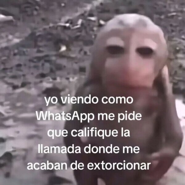 calificar,llamada,whatsapp