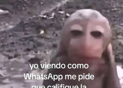 Enlace a No es el momento