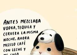 Enlace a Mi estómago ya no está para mezclar