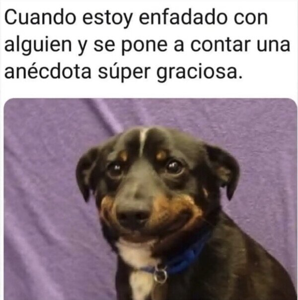 Meme_otros - No me quiero reír, pero...