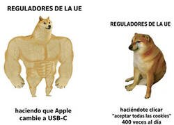 Enlace a Hay regulaciones y regulaciones