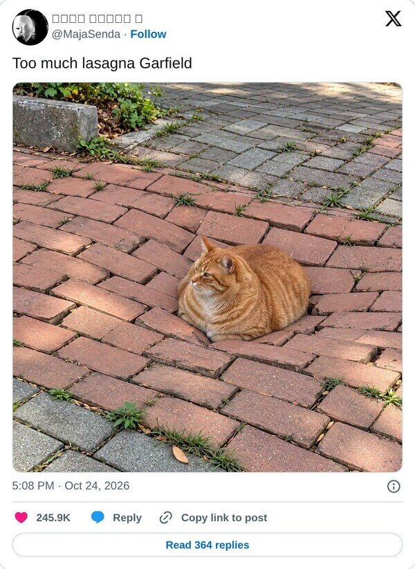 Otros - Creo que Garfield se ha pasado...