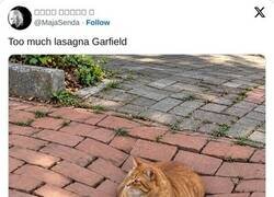 Enlace a Creo que Garfield se ha pasado...