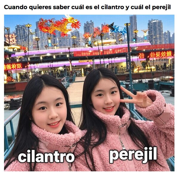Otros - No veo diferencias