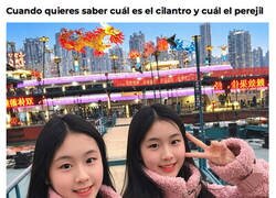 Enlace a No veo diferencias