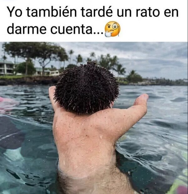 Meme_otros - Me costó entender esta foto