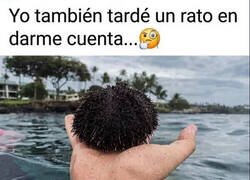 Enlace a Me costó entender esta foto