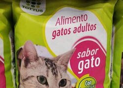 Enlace a Comida de gato con sabor... ¿a gato?