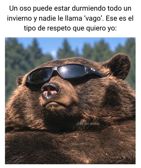 Meme_otros - Quiero el respeto que tiene un oso