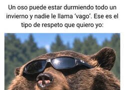 Enlace a Quiero el respeto que tiene un oso