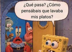 Enlace a Cosas de esponja