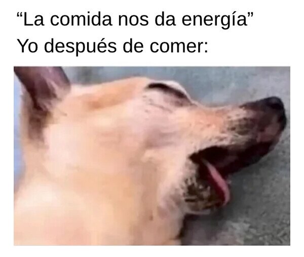 Meme_otros - La siesta es sagrada