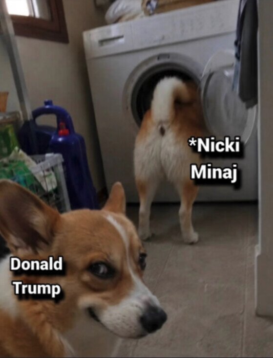 Meme_otros - Señor Trump, compórtese por favor